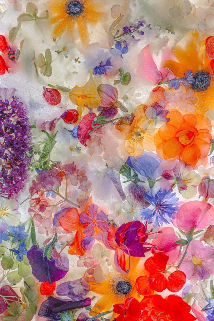 Enchanted Blossom Exotic Array